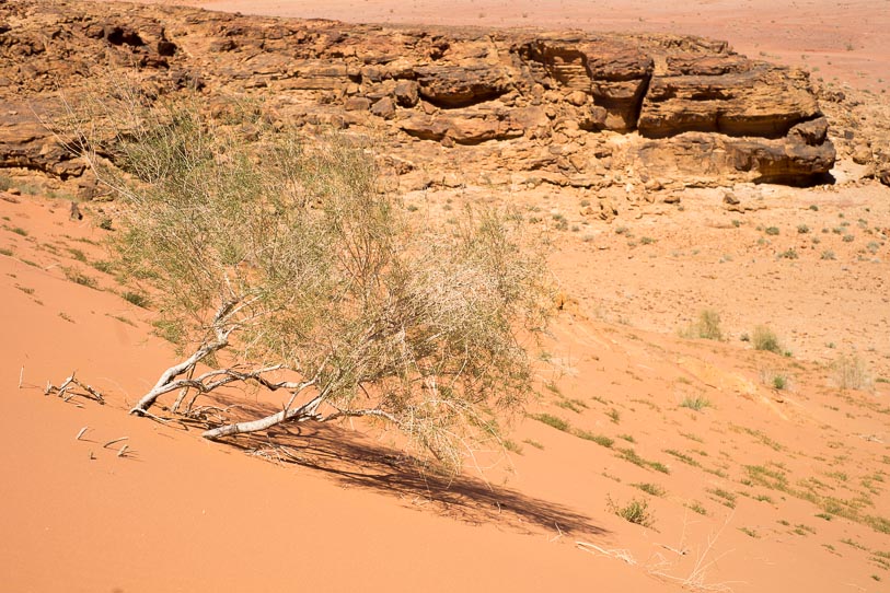wadi-rum-desert-12