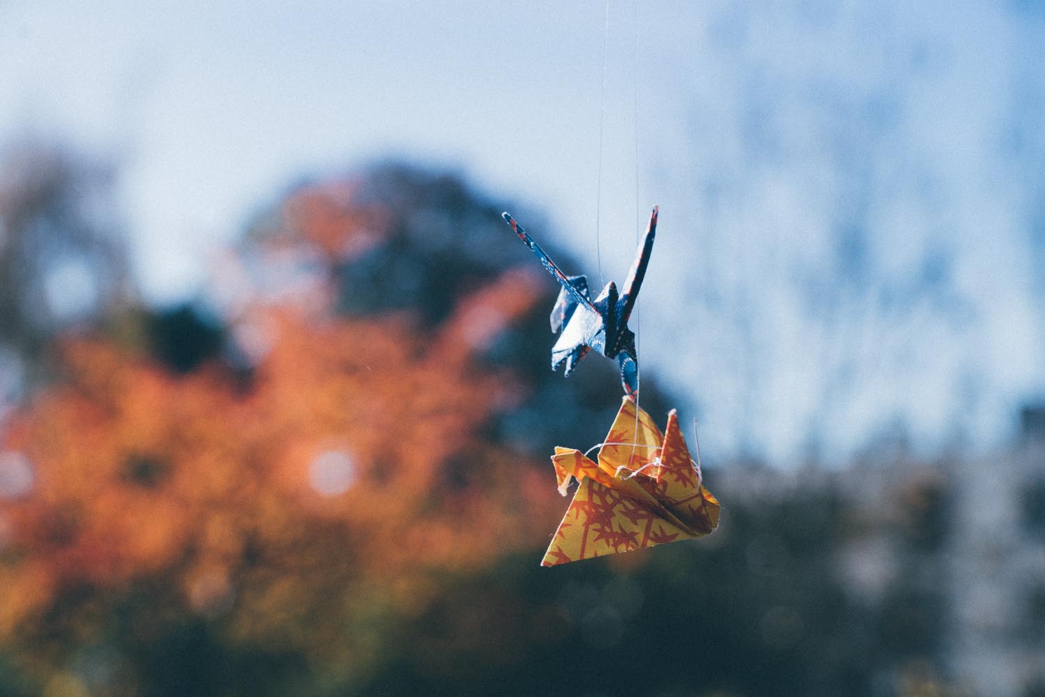 Origami d'automne