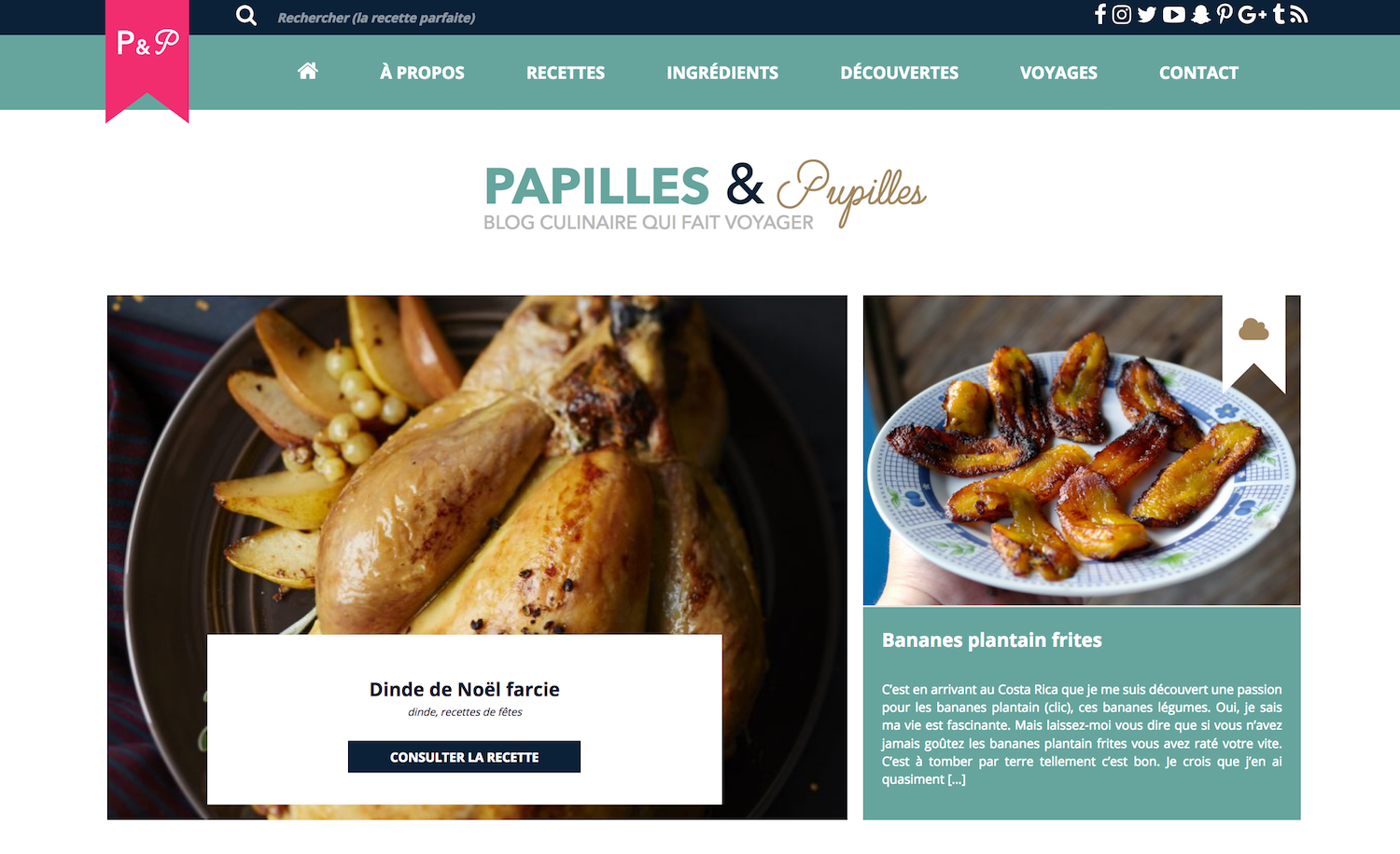 Webdesign Papilles et Pupilles